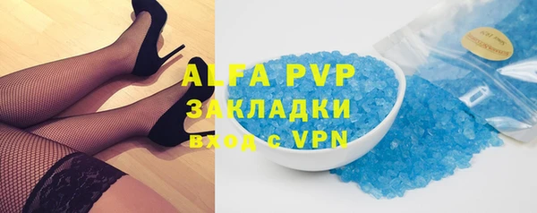 шишки Медвежьегорск