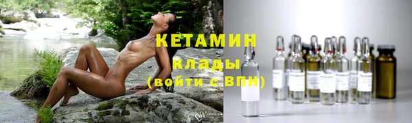 шишки Медвежьегорск