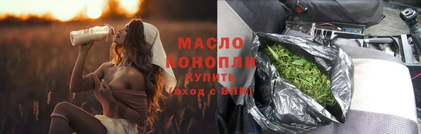 шишки Медвежьегорск