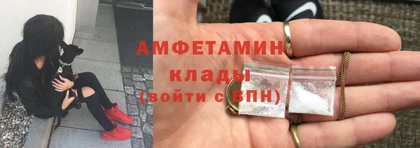 шишки Медвежьегорск