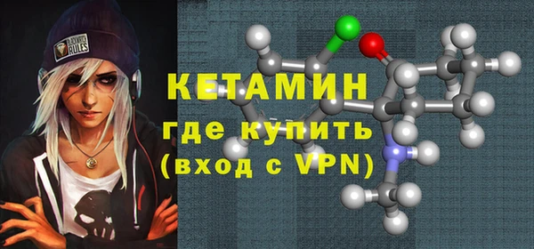 шишки Медвежьегорск