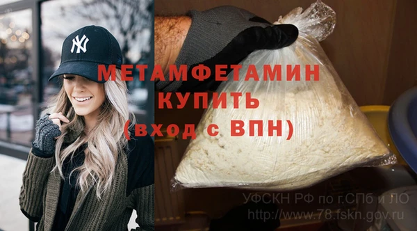 шишки Медвежьегорск