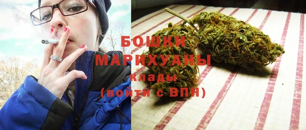шишки Медвежьегорск